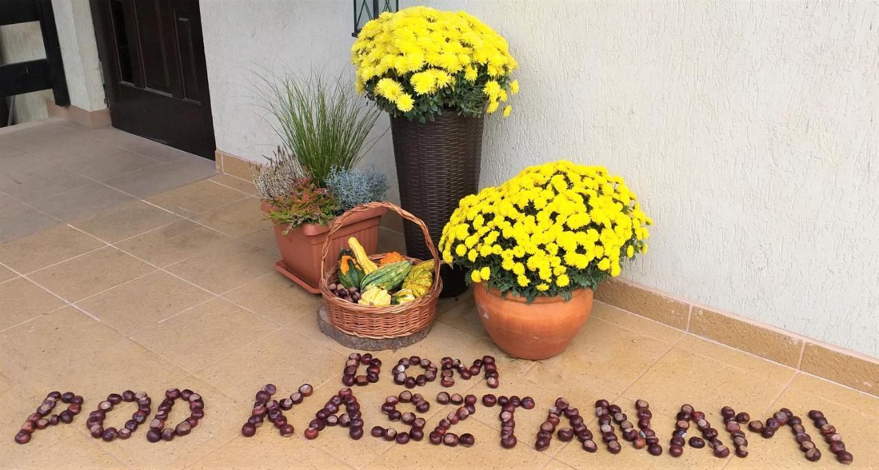 Dom Pod Kasztanami Apartman Kazimierz Dolny Kültér fotó